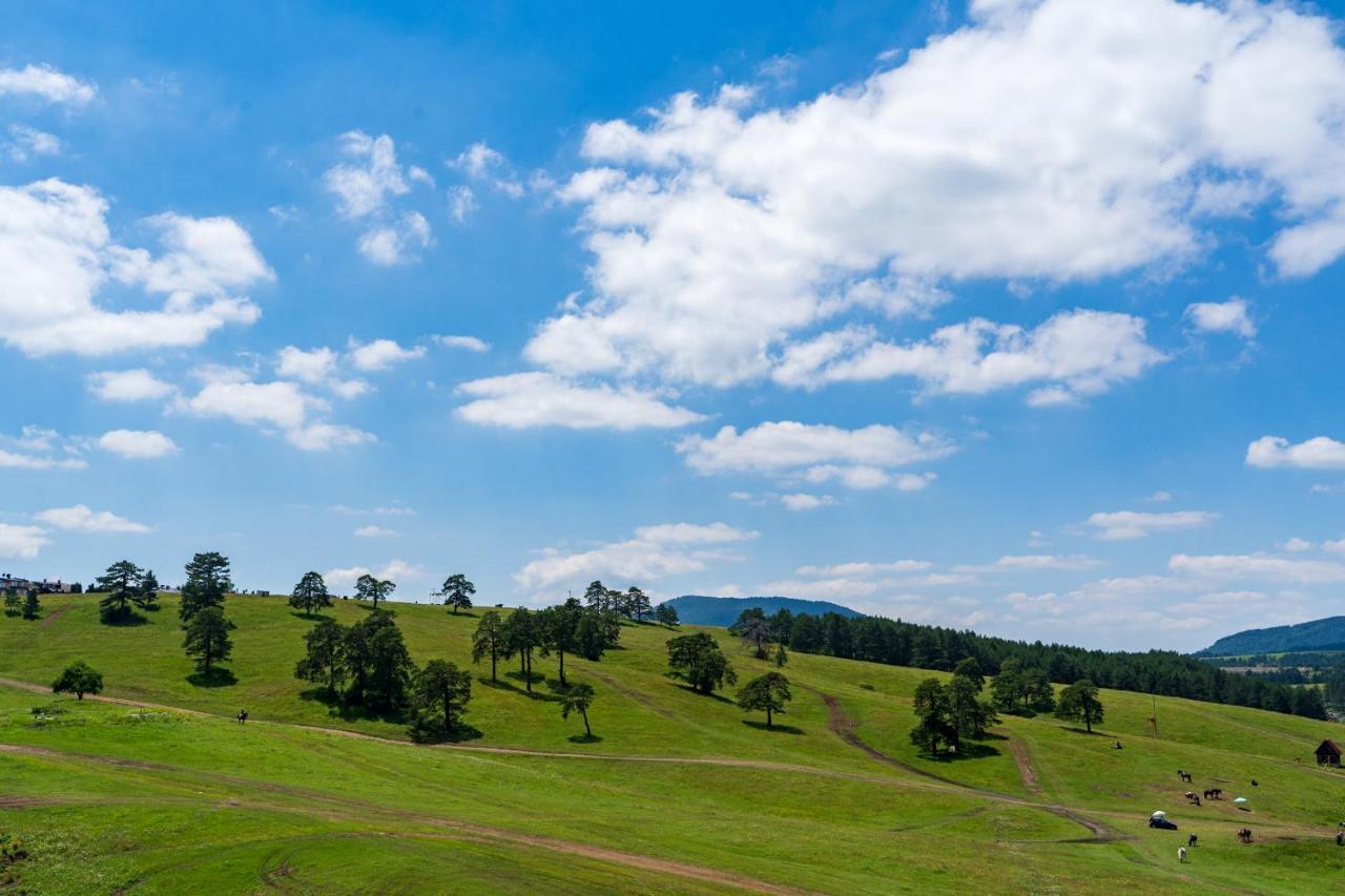 Lux Apartman Monet Apartman Zlatibor Kültér fotó